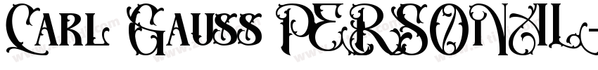 Carl Gauss PERSONAL字体转换